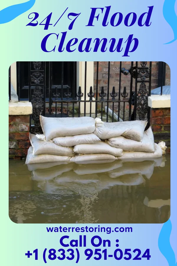 24/7 Flood Cleanup in Manning, SC