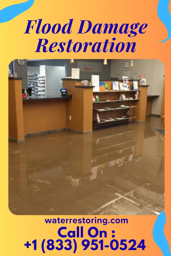 Flood Damage Restoration in Manning, SC