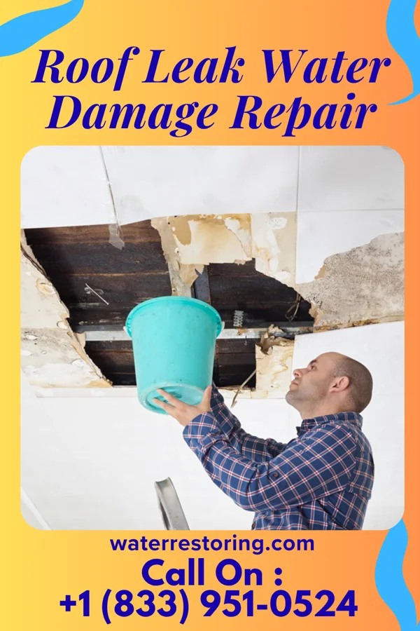 Roof Leak Water Damage Repair in Manning, SC
